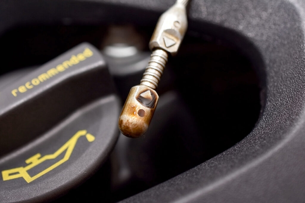 maintain your new car